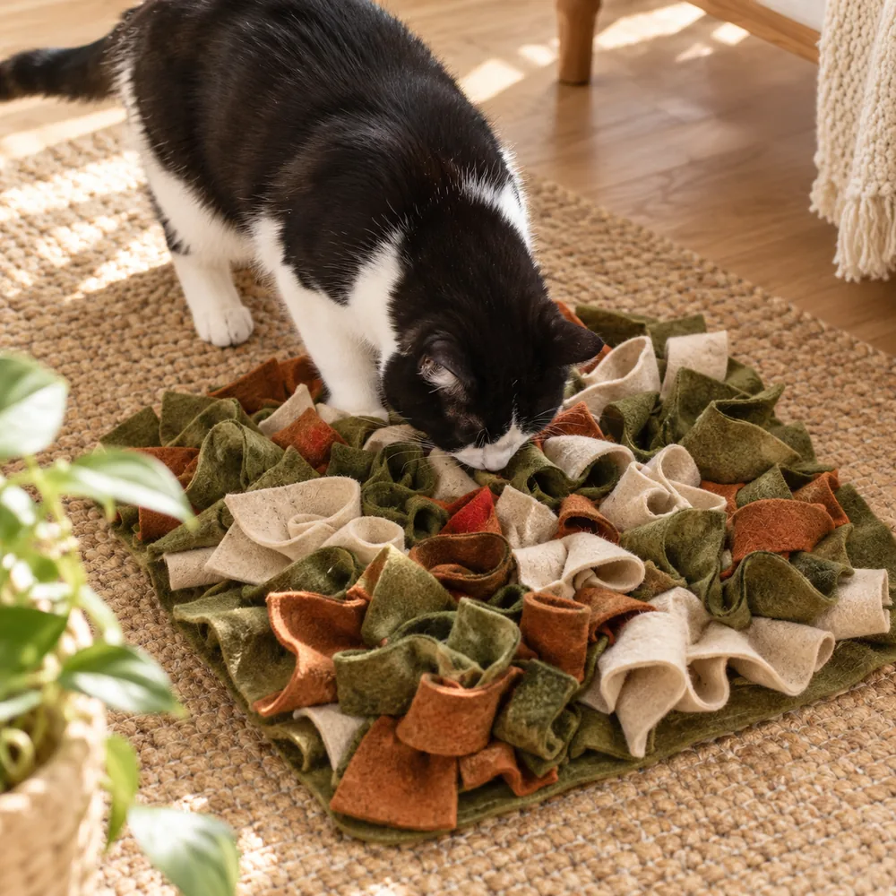 Concept scene of a cat searching an olive and rust snuffle mat